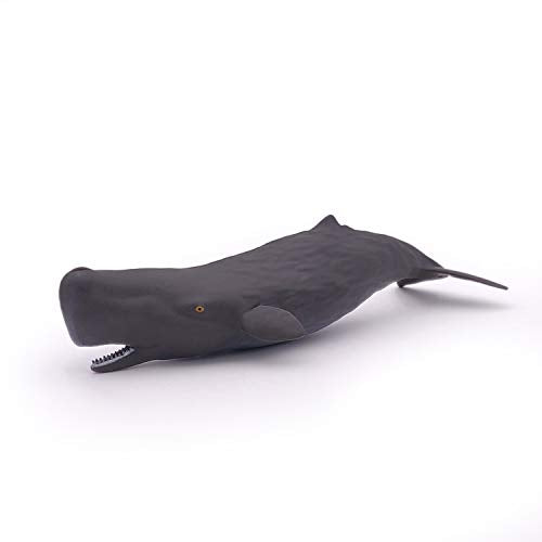 Papo 56045 Sperm Whale Calf Marine Life Figurine - Realistic Hand-Painted Ocean Animal Toy for Kids and Collectors