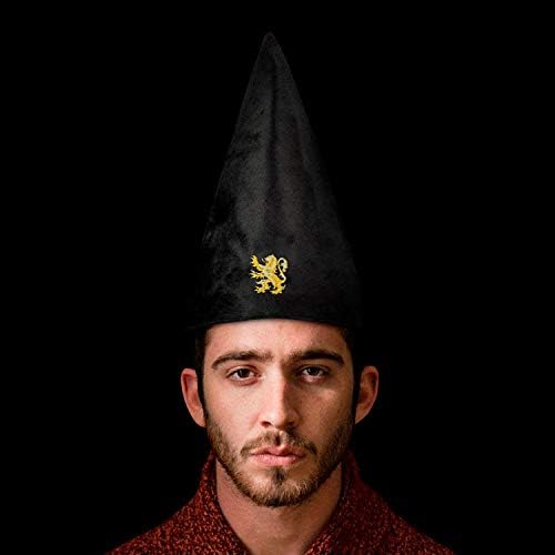 Harry Potter Hogwarts Student Hat - Black (One Size)