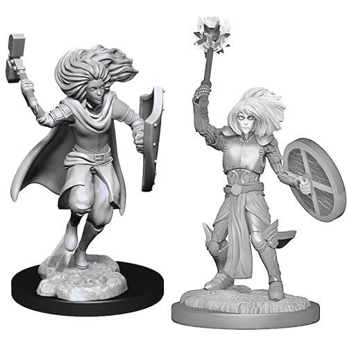 Changeling Cleric Male Nozur's Marvelous Miniatures - WizKids/NECA (Unpainted Miniatures, 2-Pack)