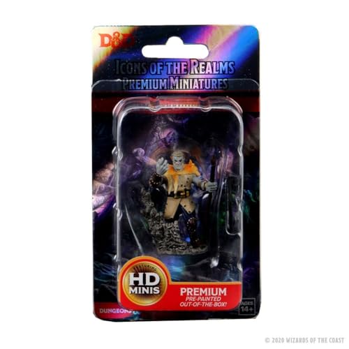 WizKids Dungeons & Dragons Premium Figure Accessories (WZK93013)