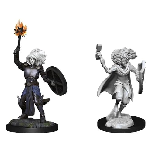 Changeling Cleric Male Nozur's Marvelous Miniatures - WizKids/NECA (Unpainted Miniatures, 2-Pack)