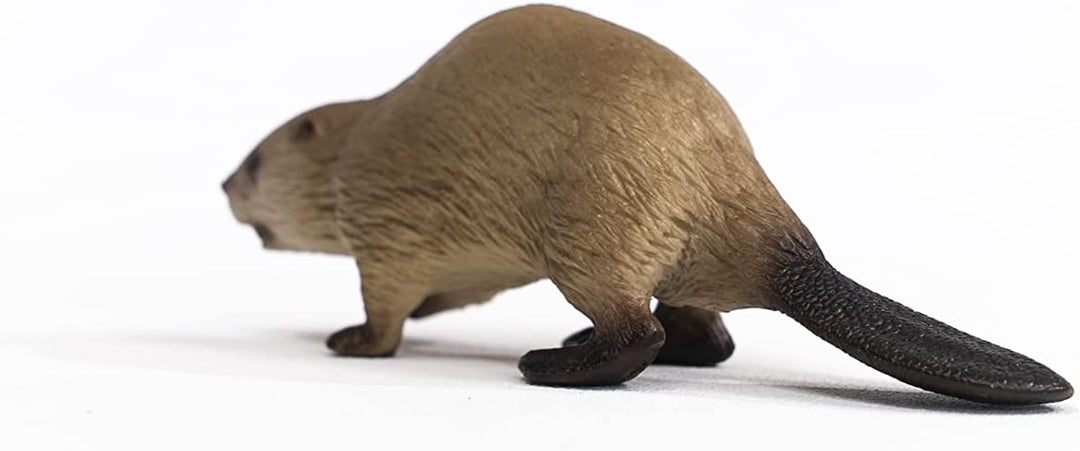 Schleich 14855 Beaver Figurine - Realistic Wildlife Animal Toy for Kids, 10 x 3 x 3 cm