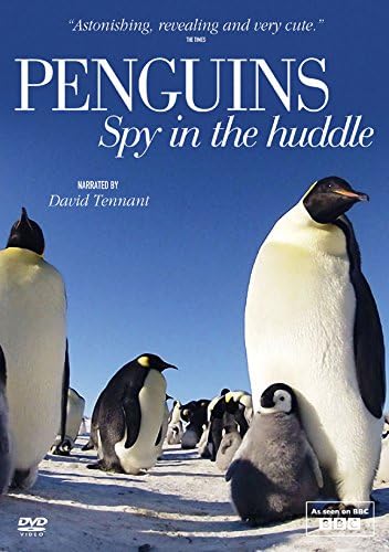BBC Earth - Spy in the Huddle: Penguins DVD (BBCSPY001)