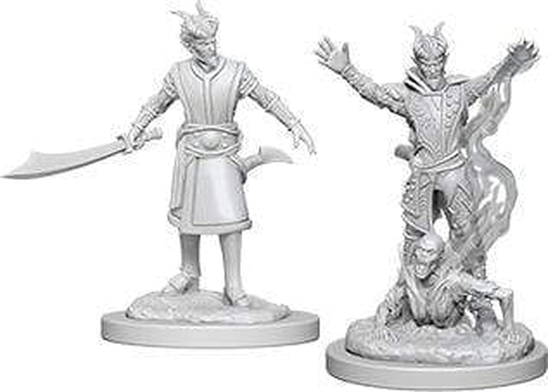 Dungeons & Dragons WZK73388 Accessories