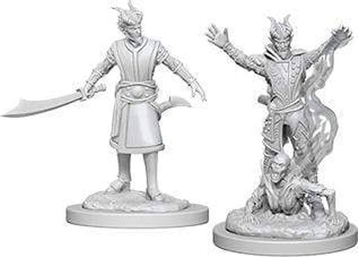 Dungeons & Dragons WZK73388 Accessories