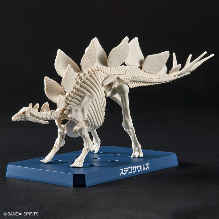 Bandai Dinosaur Plastic Stegosaurus Model Kit - Buildable Prehistoric Creature Toy