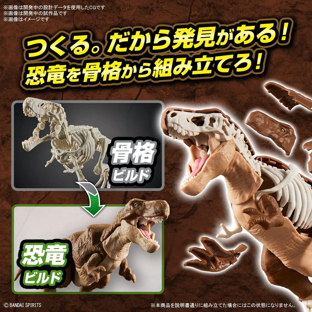 BANDAI SPIRITS New Dinosaur Plastic Model Tyrannosaurus (Provi) - Color-Coded Model Kit for Dinosaur Enthusiasts