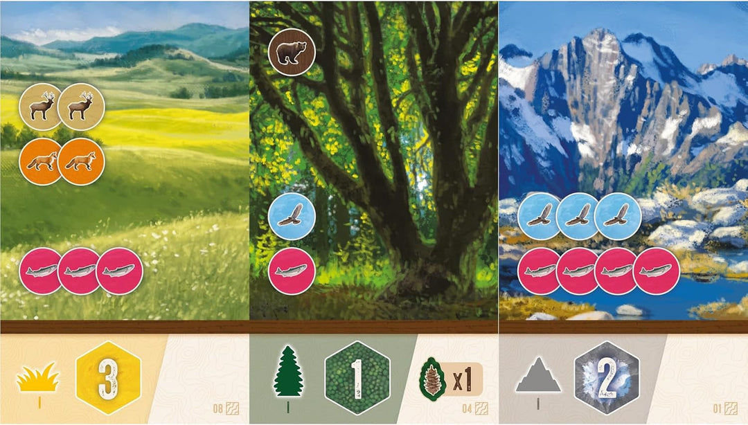 AEG Cascadia Rolling Rivers Roll & Write Dice Game (Cascadia Rolling Rivers)