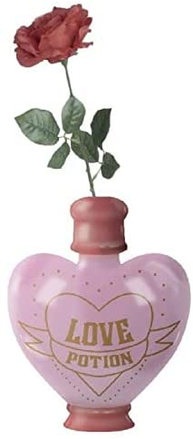 HARRY POTTER - Love Potion - Pot de fleurs/Vase de table