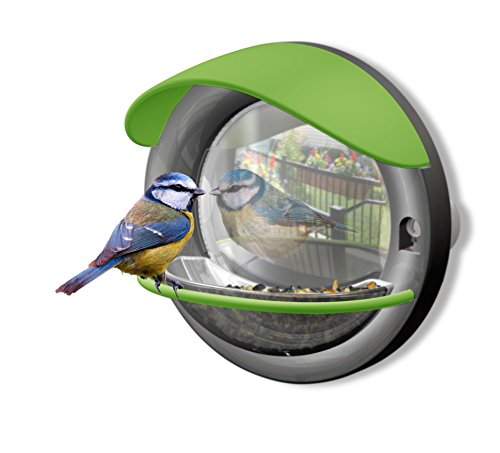 My Living World Window Mounted Bird Feeder