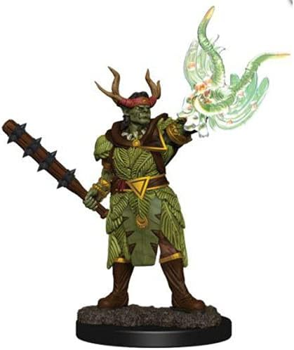 Pathfinder Battles Premium Painted Figure (W2) Half-Orc Druid Male