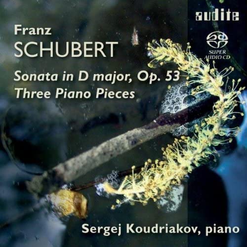 SERGEI KOUDRIAKOV - Schubert - Piano Sonata in D major, op.53; Three Piano Pieces [Audio CD]