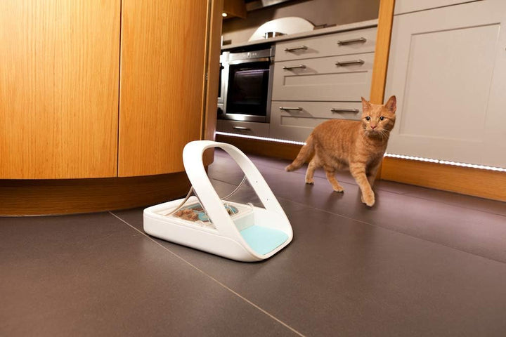 Sure Petcare - SureFeed Microchip Pet Feeder (White) (194705)