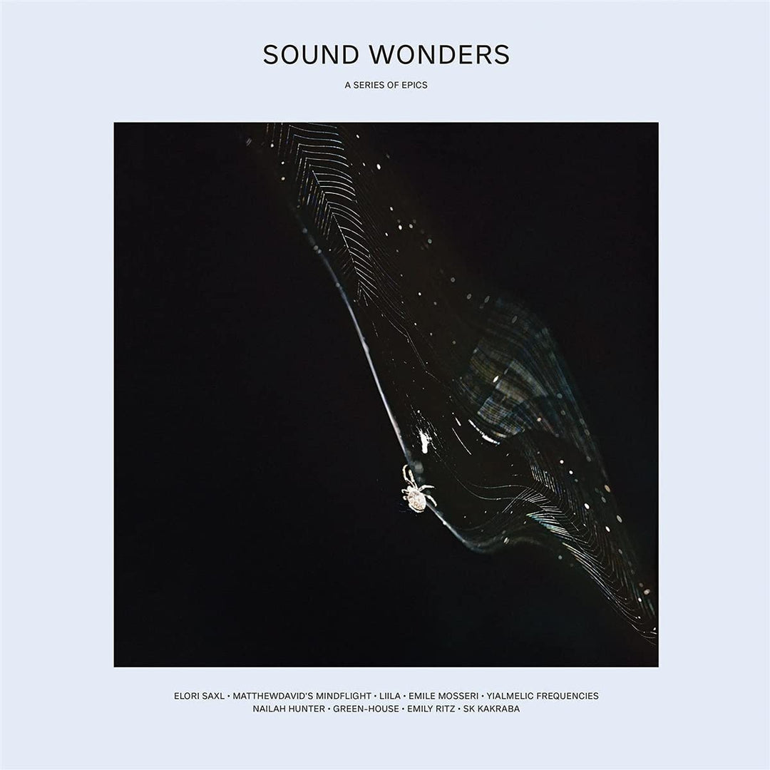 SOUND WONDERS [Vinyl]