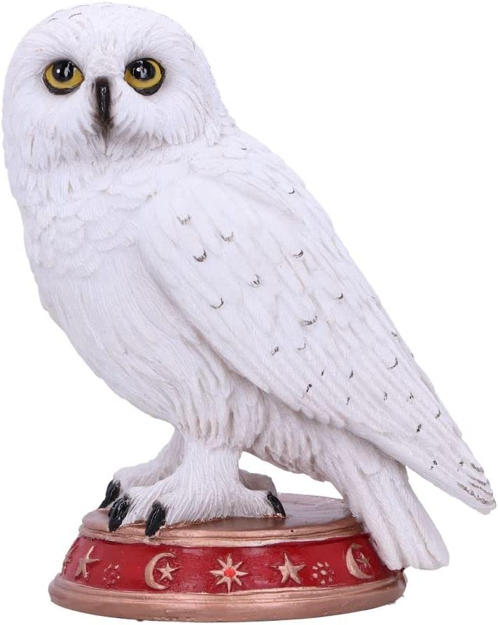 Nemesis Now Wizard's Familiar Owl Figurine, White, 10cm