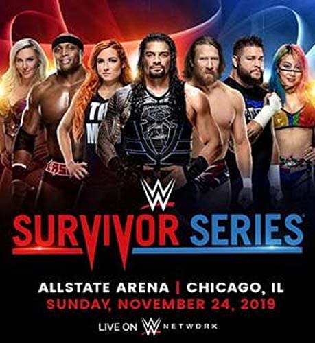 WWE: Survivor Series 2019 [DVD]