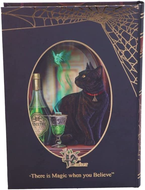 Nemesis Now Lisa Parker Absinthe Journal, Multi Coloured, 17cm