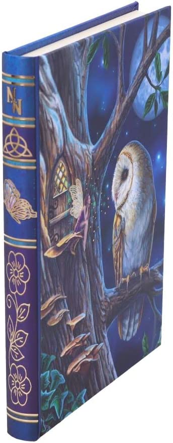 Nemesis Now Lisa Parker Fairy Tales Journal, Blue, 17cm