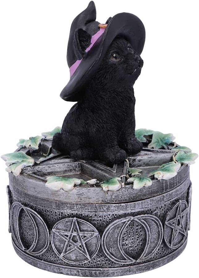 Nemesis Now Ivy Familiar Box Cat Figurine 15cm, Black