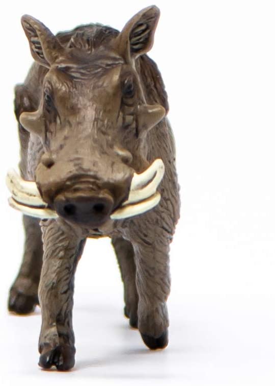 Schleich 14843 Wild Life Warthog