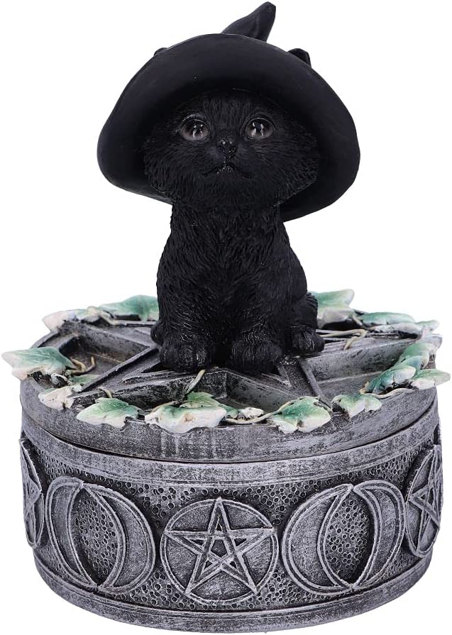 Nemesis Now Ivy Familiar Box Cat Figurine 15cm, Black