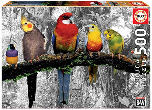 Educa Borras – Coloured B&W Series Puzzle 500 Pieces Birds in the Jungle (17984)