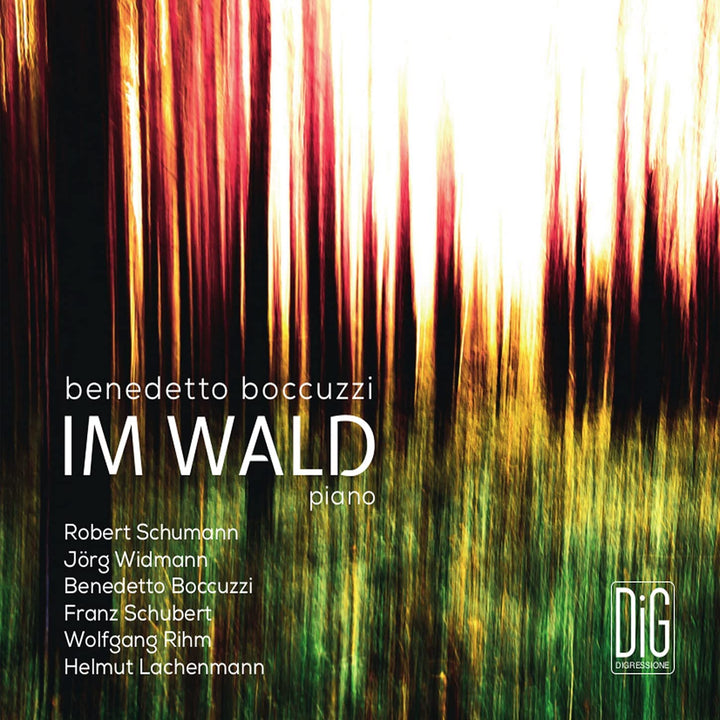 Im Wald [Benedetto Boccuzzi] [Digressione Music: DIGR126] [Audio CD]