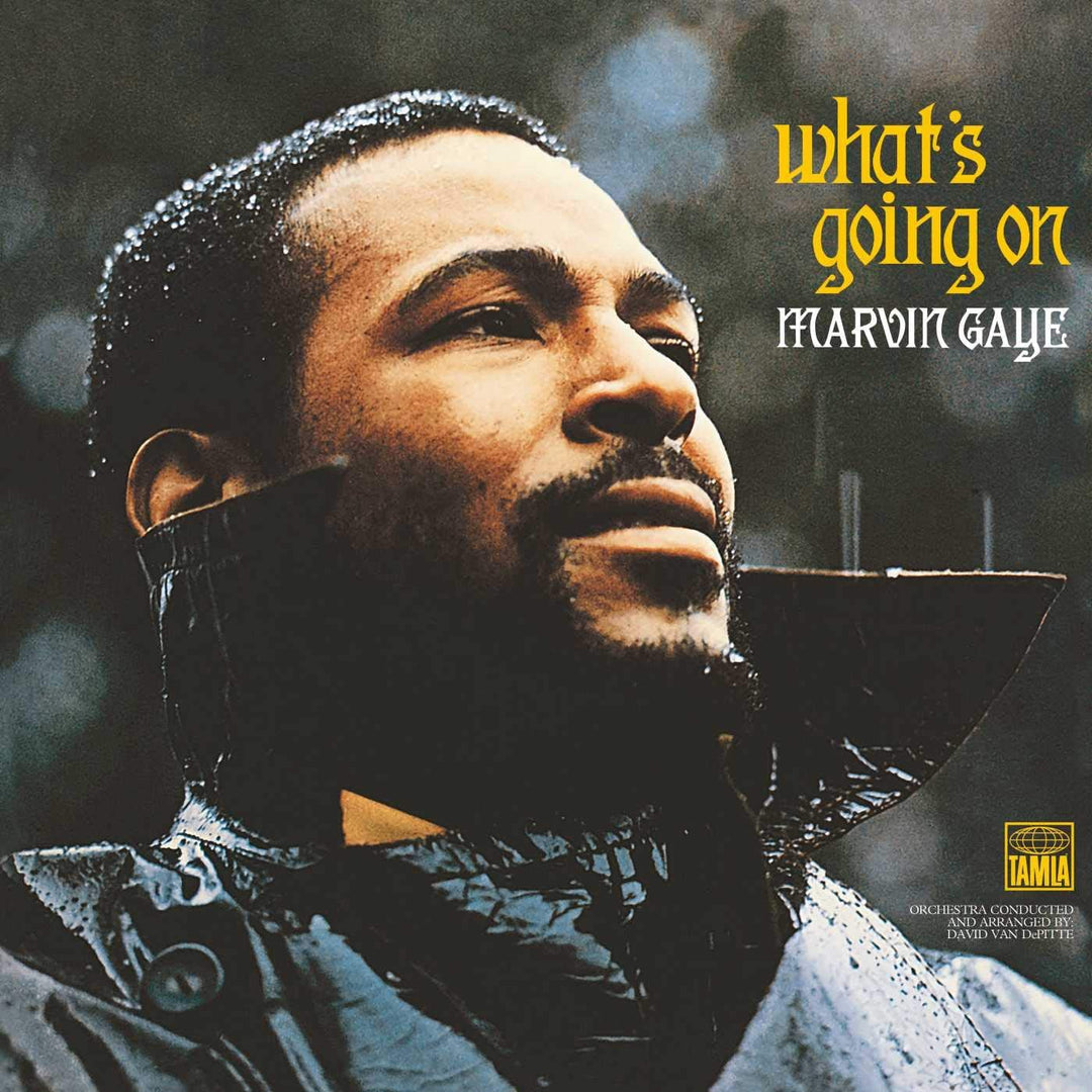 Marvin Gaye - What's Going On [VINYL]