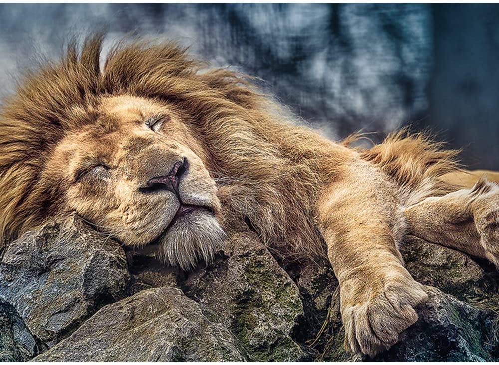 Trefl 10447 "Sleeping Lion Puzzle (1000-Piece) - Yachew