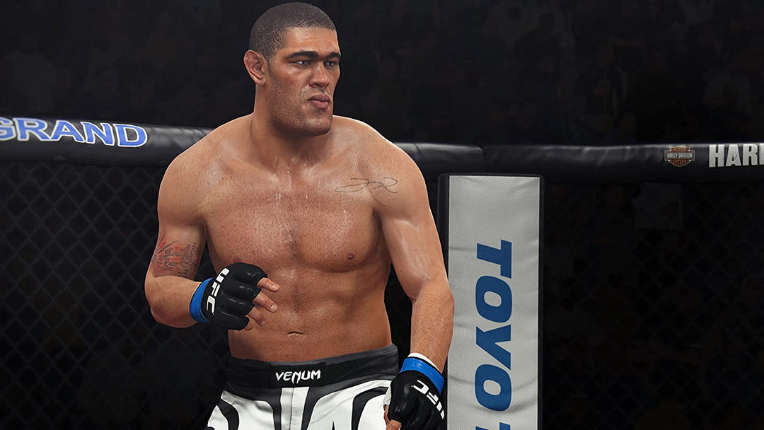 EA Sports UFC (PS4)