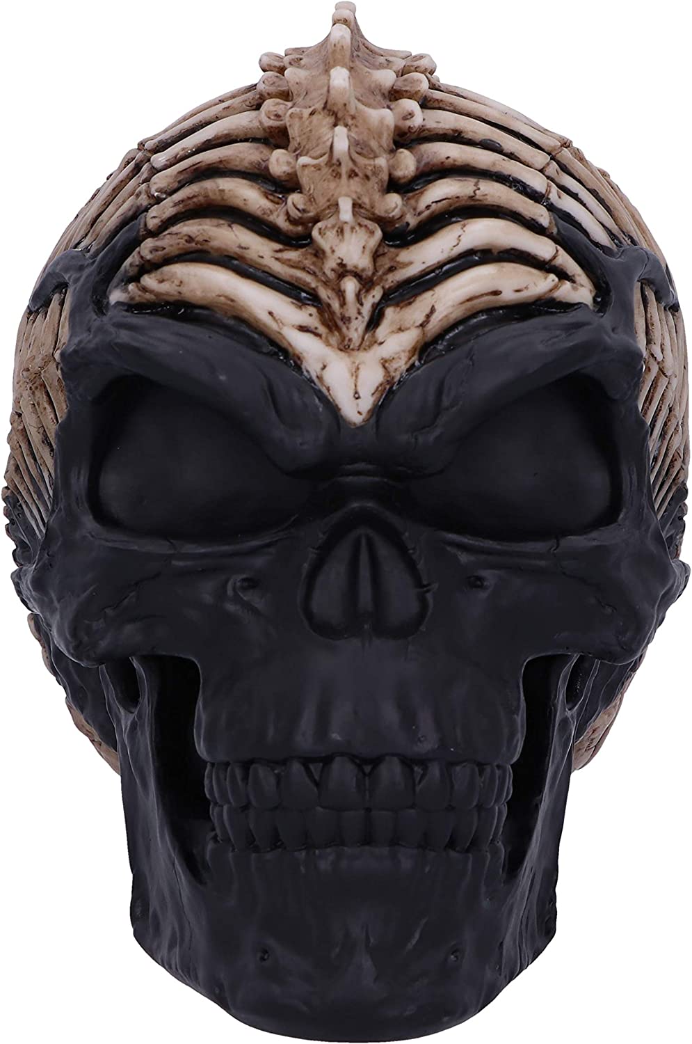 Nemesis Now Officially Licensed James Ryman Spine Head Skull Skeleton Ornament,