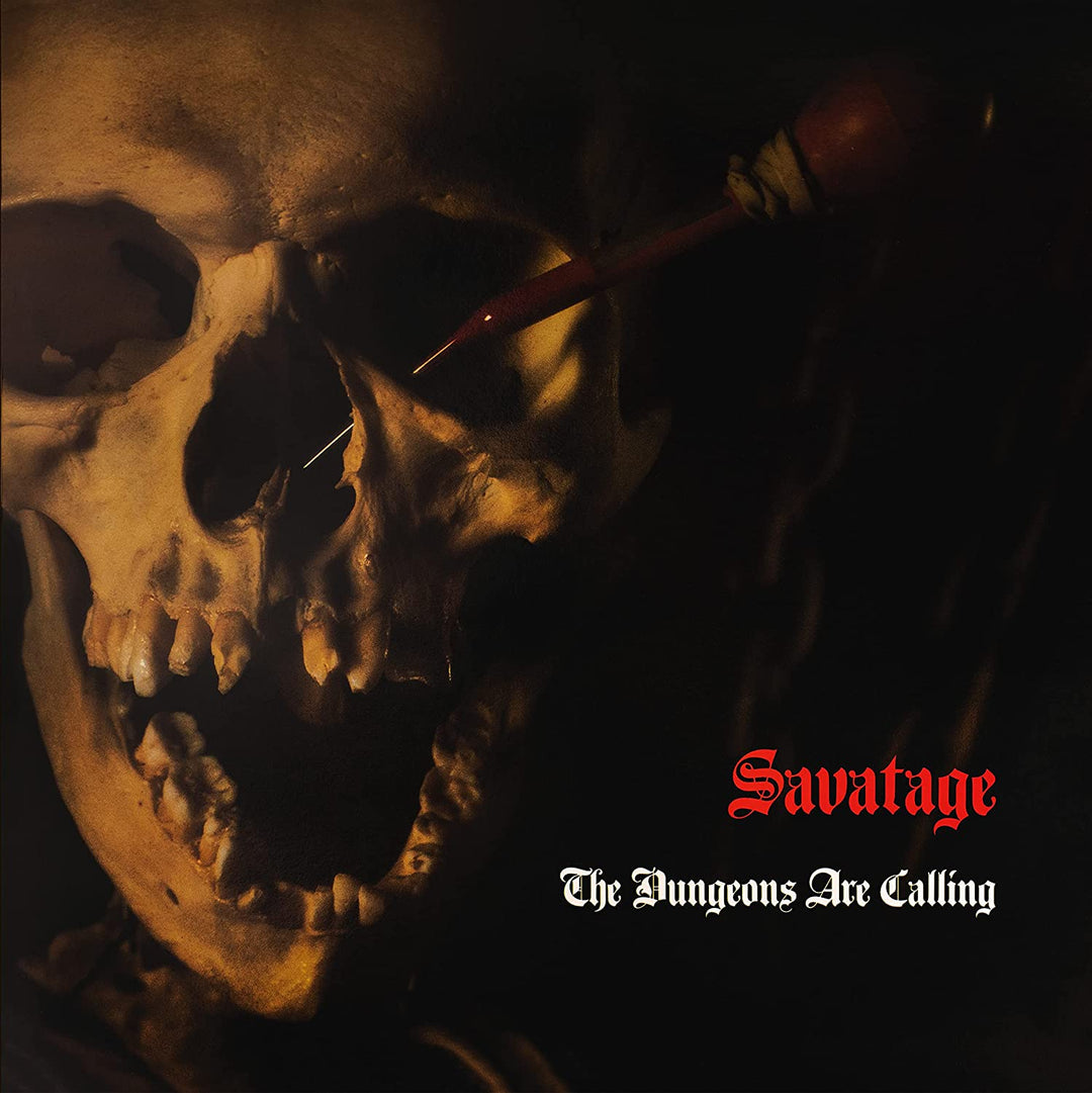 The Dungeons Are Calling [Vinyl]