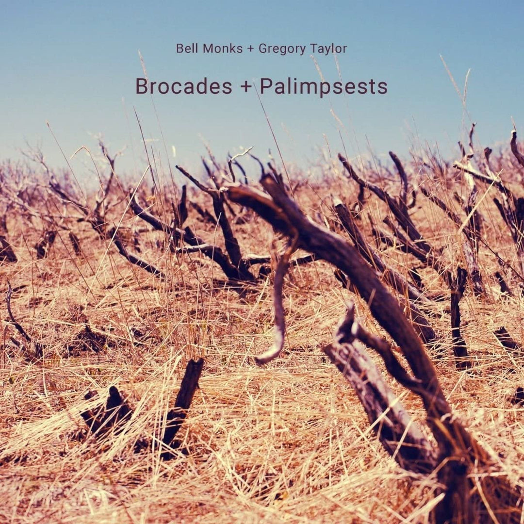 Bell Monks & Gregory Taylor - Brocades & Palimpsests [Audio CD]