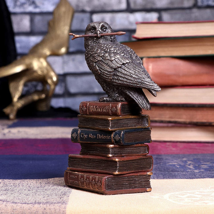 Bronze Spellcraft Witches Familiar Owl on Book Figurine