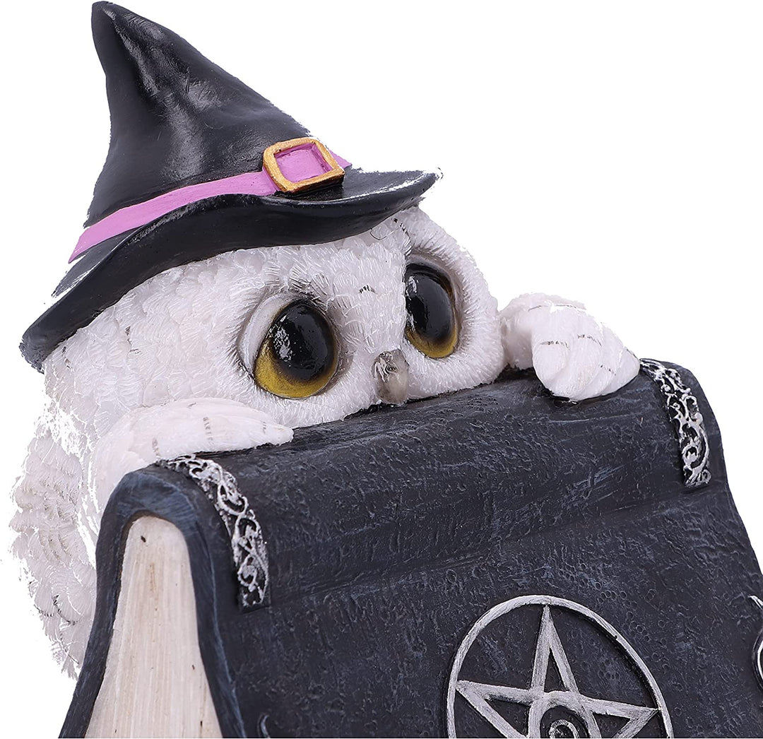 Nemesis Now Owl's Spell 15cm, Black