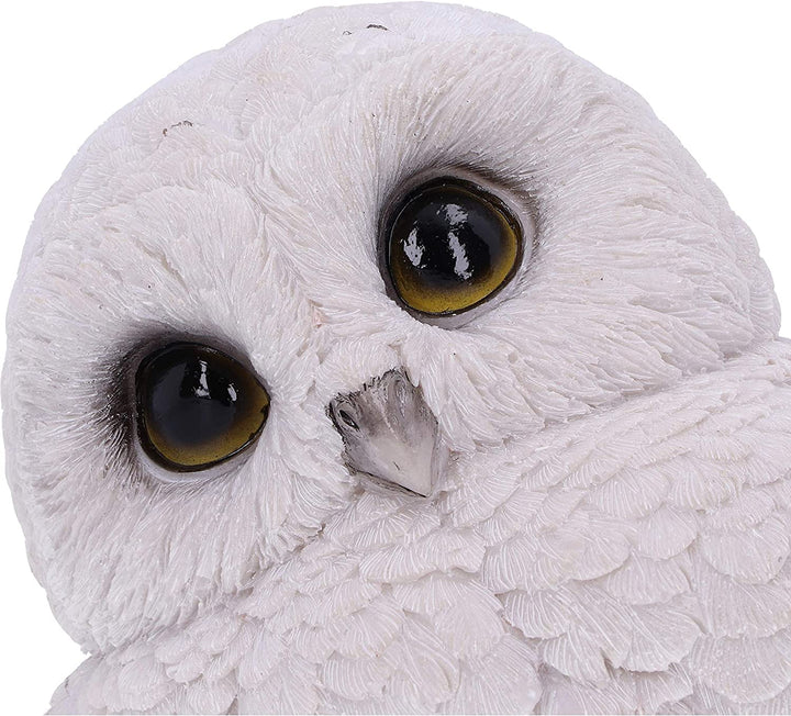 Nemesis Now Feathers Cute Rotund Snowly Owl Figurine, White, 12.5cm (U5473T1)