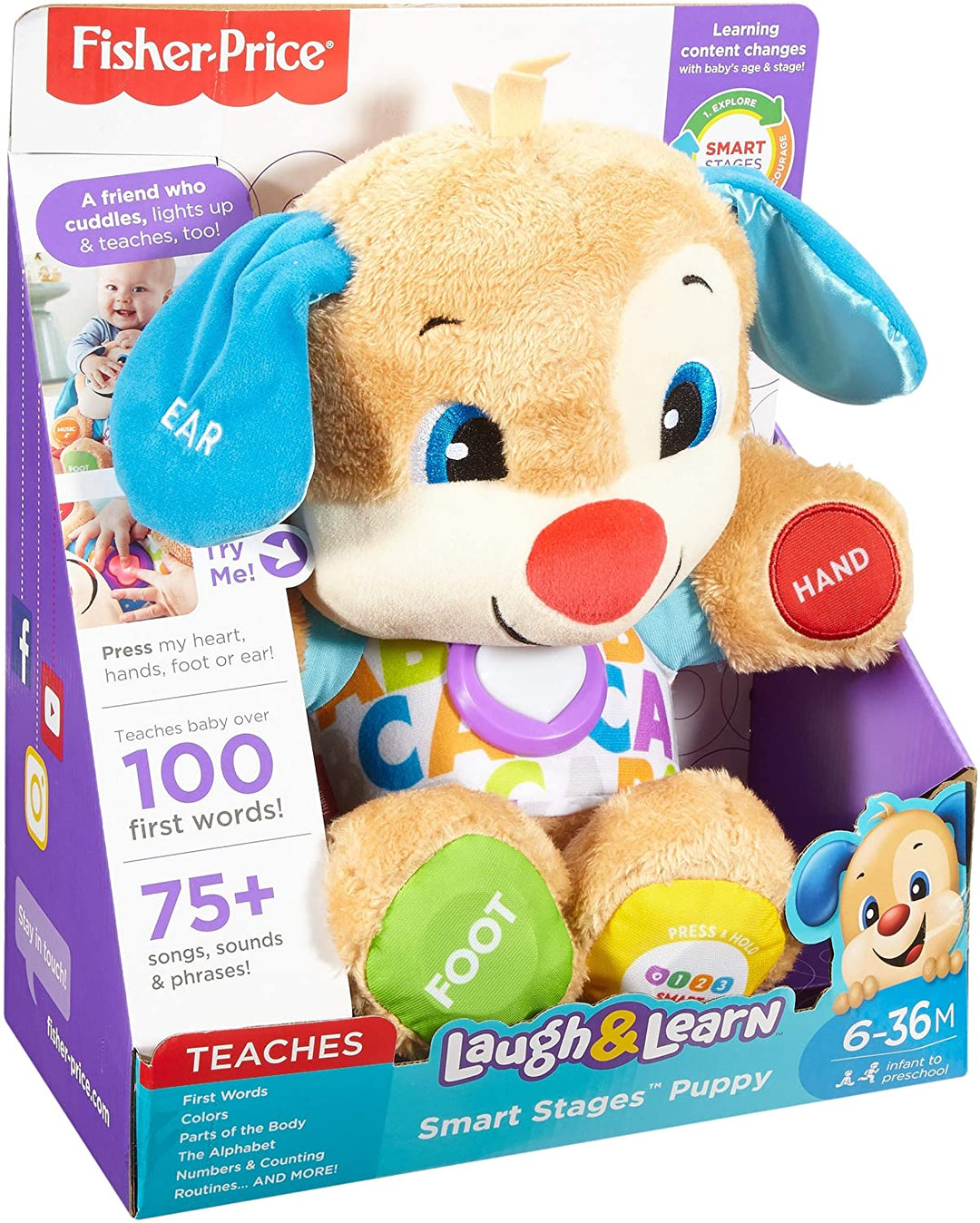 Fisher-Price FPM43 Smart Stages Puppy, Lachen und Lernen, weiches, pädagogisches elektronisches Kleinkind-Lernspielzeug mit Musik und Liedern, geeignet für Kinder ab 6 Monaten
