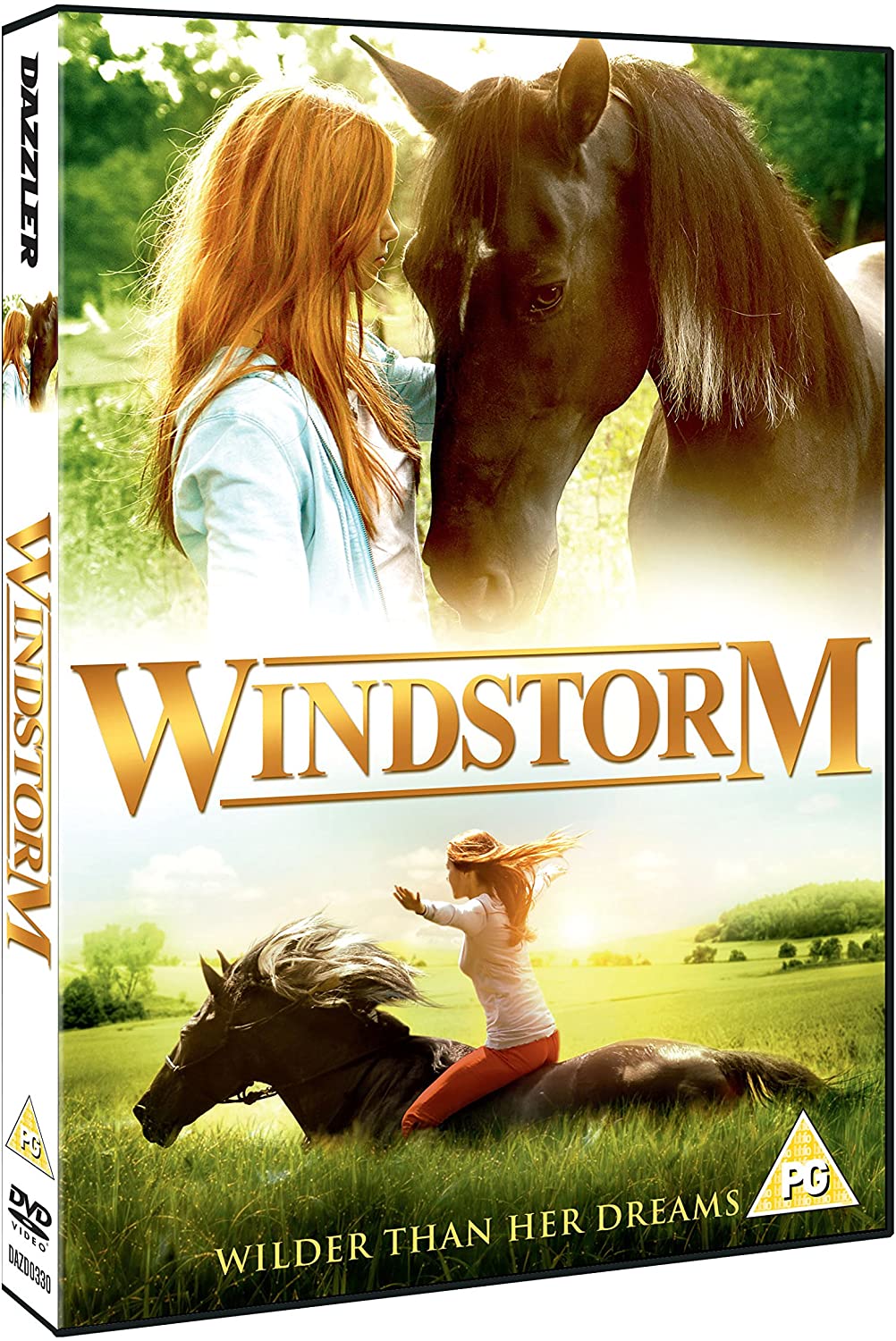 Windstorm [DVD]