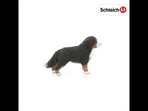 Schleich 16397 Berner Sennenhond, Vrouwelijk